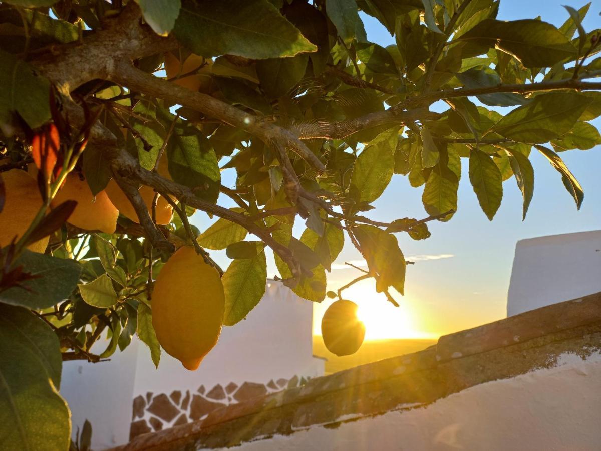 Casa Dona Antonia - Monsaraz B&B 외부 사진
